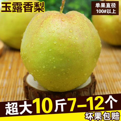 隰县玉露香梨当季脆甜梨子