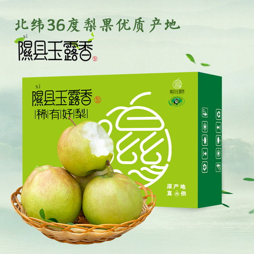 山西特产玉露香梨礼盒10斤新鲜水果脆甜无渣梨子顺丰包邮