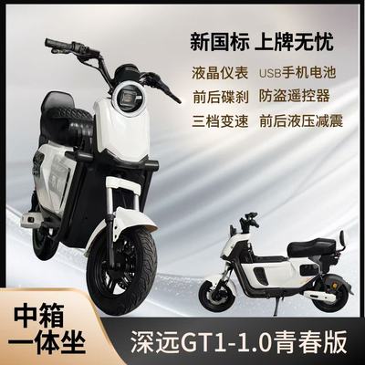 深远GT1青春版10寸电动自行车
