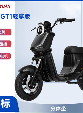 深远GT1-轻享版电动车国标可上牌亲子家用代步上班通勤外卖骑手
