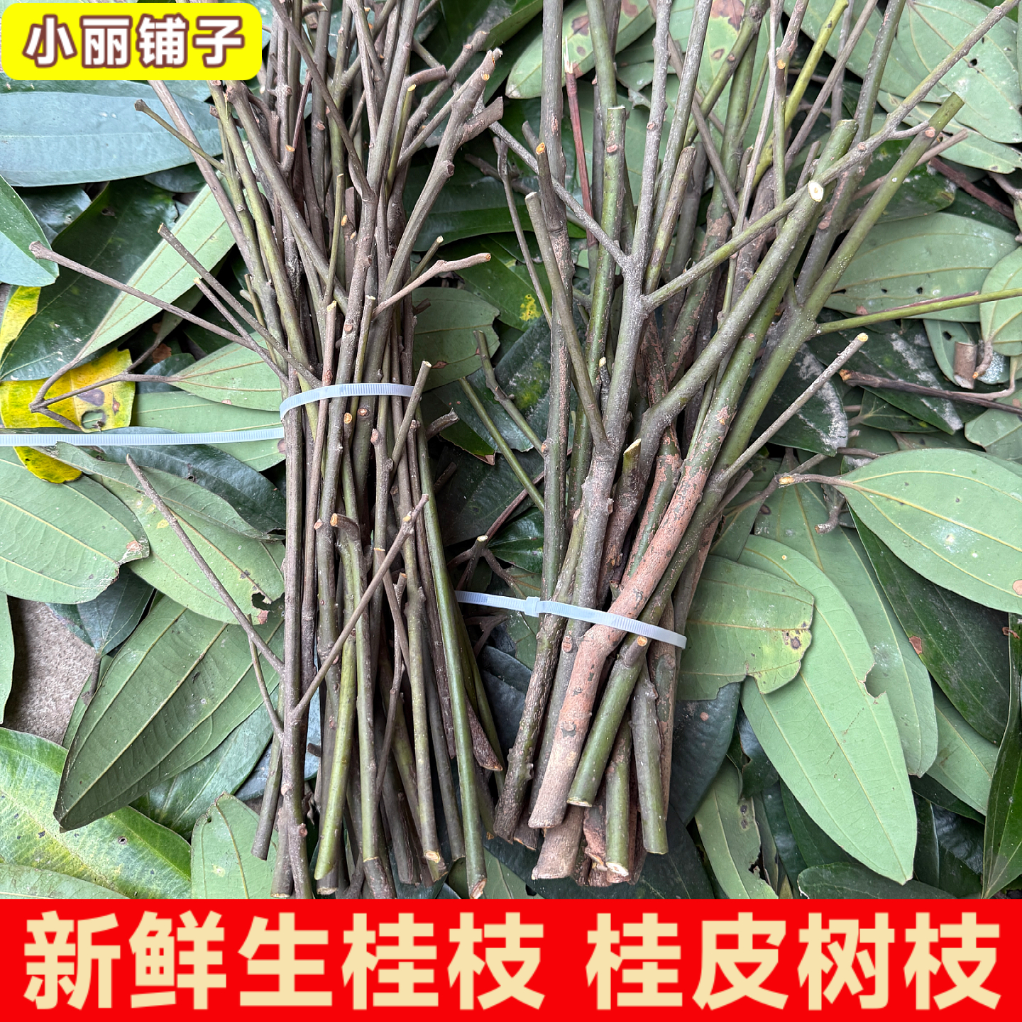 新鲜生桂枝无硫精选桂皮树枝条