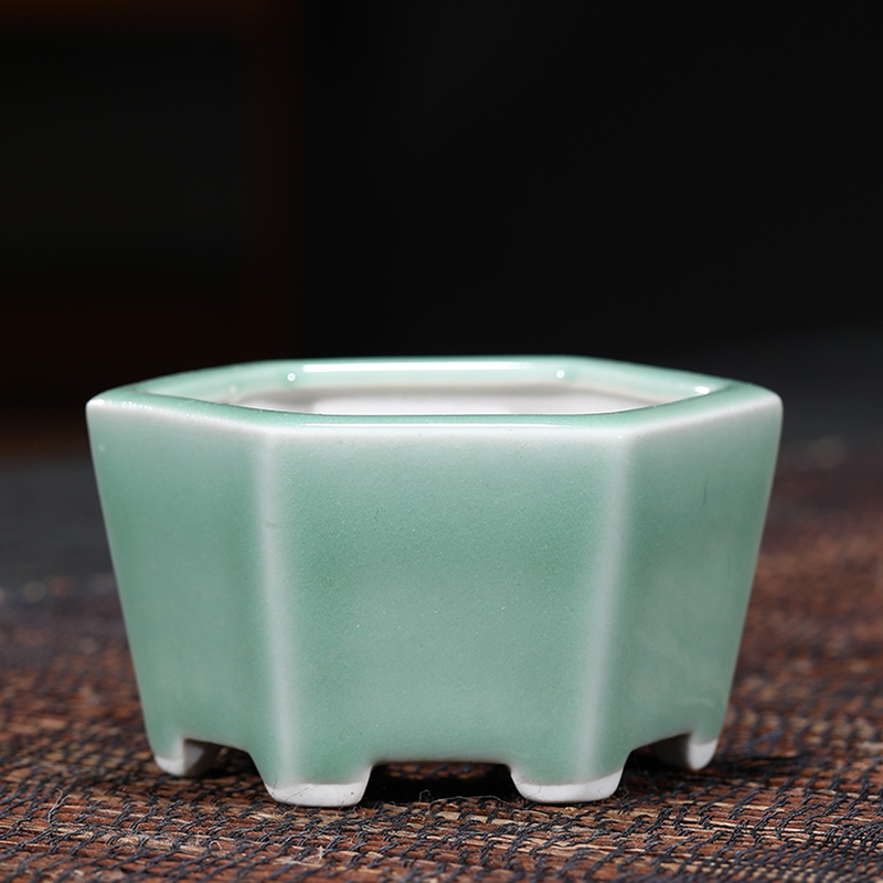 多肉多肉小花盆满28元包邮