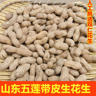 山东2021新晒干粉红皮带壳生花生农家新鲜鲁花花生种子5斤