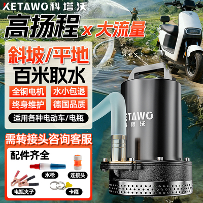 电动车专用抽水泵12V48V60V72V农用灌溉井水小型直流不锈钢潜水泵