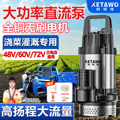 电瓶车专用潜水泵12V48V60V72V大功率大流量无刷抽水泵农用灌溉机