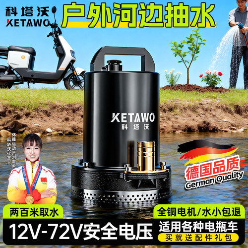电瓶车专用潜水泵河道池塘鱼塘专用大功率农用抽水泵12V48V60V72V