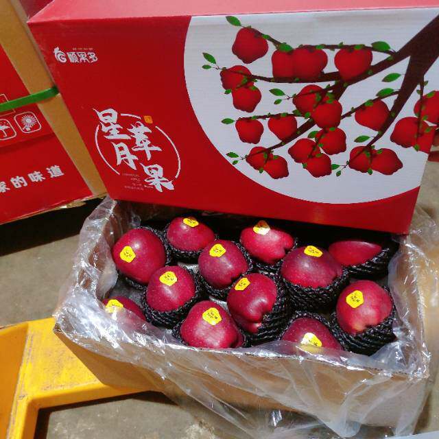 精品花牛苹果箱装 仅限京津冀 礼品礼盒15斤