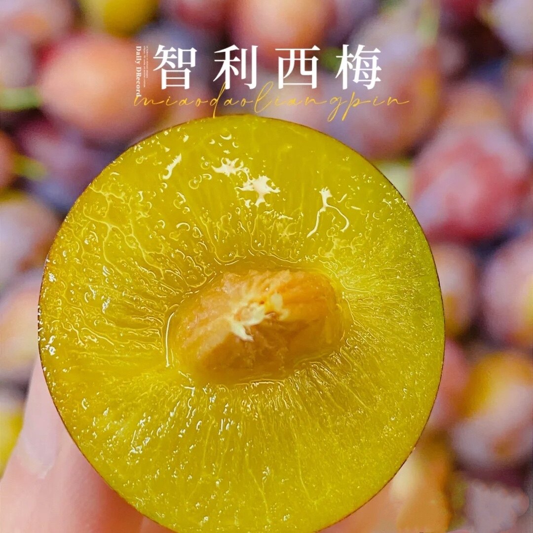 智利空运大西梅 3jd巨无霸 仅限京津冀