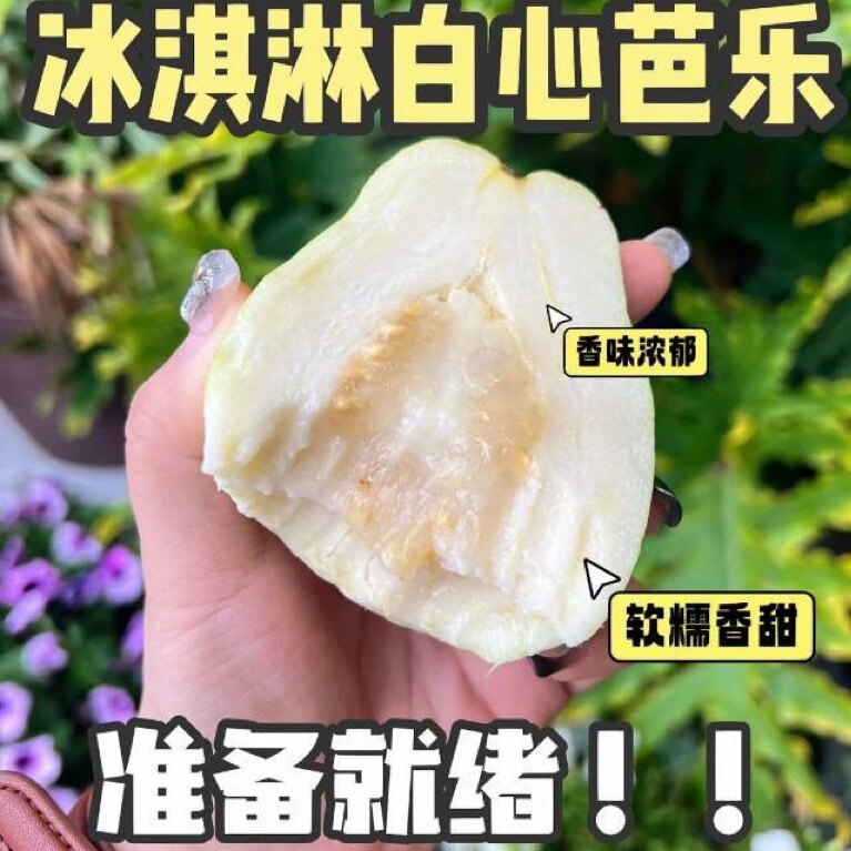 北京新发地直发 奶油芭乐番石榴2个一盒 全国可发