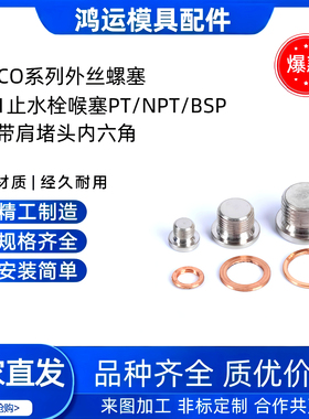 HASCO系列外丝螺塞Z941止水栓喉塞PT/NPT/BSP/M牙带肩堵头内六角
