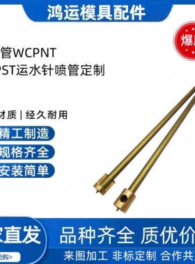 米标模具冷却管WCPNT-1.5 4 6 8 10 12WCPST运水针喷管定制/现货