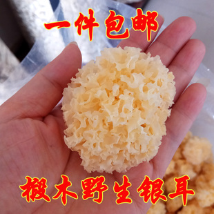 银耳福建特产武夷山白木耳雪耳无硫熏椴木野生糯银耳250克