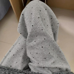 梨形身材高腰宽松显瘦慵懒遛弯裤 女夏薄款 波点运动休闲裤 胖mm大码