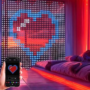 新年装饰窗帘灯APP智能点控幻彩皮线户外防水婚庆节日装饰带遥控