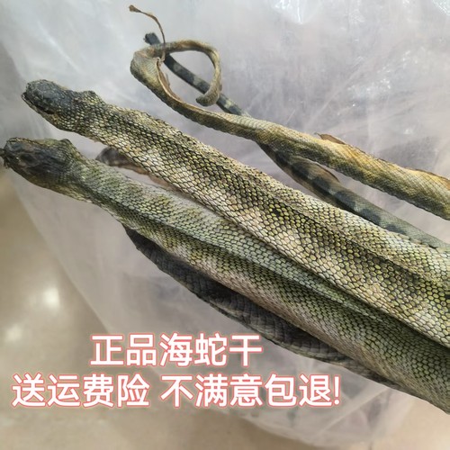 渔民精选海蛇干无毒泡酒滋补煲汤