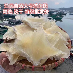 阳江渔港大号海狗翅深海鳐鱼翅干货鱼刺翅海鲜干货煲汤烧烤浦鱼翅