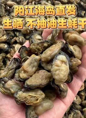 阳江新晒大生蚝干天然蚝豉无添加