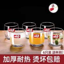 青苹果玻璃杯套装家用加厚耐热泡茶杯喝水杯啤酒杯牛奶果汁杯6只