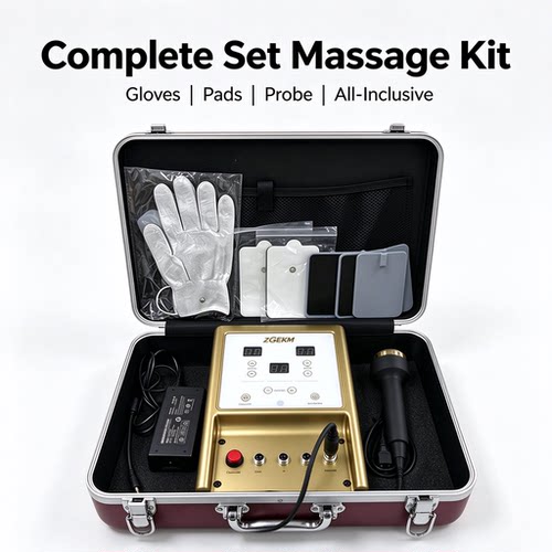 Phoenix 2 DDS Meridian Massager Bio-Energy Full Body Device