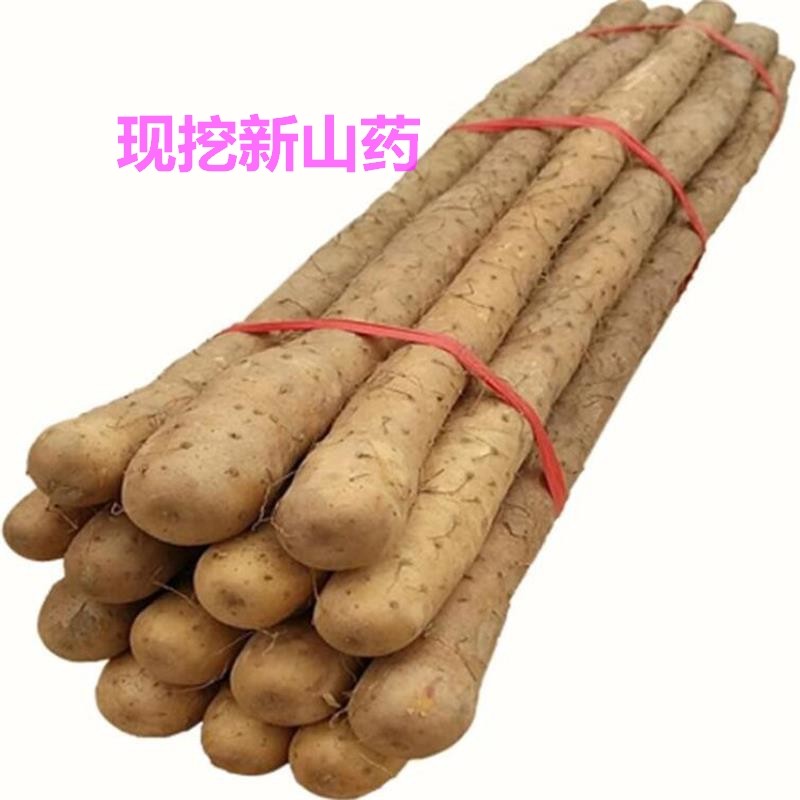 超值5斤新鲜正宗铁棍山药铁杆怀淮山约铁棒河南温县焦作农家特产