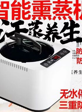 中药熏蒸机器熏蒸仪汗蒸箱家用全身发汗桑拿房理疗排毒湿蒸汽锅4L