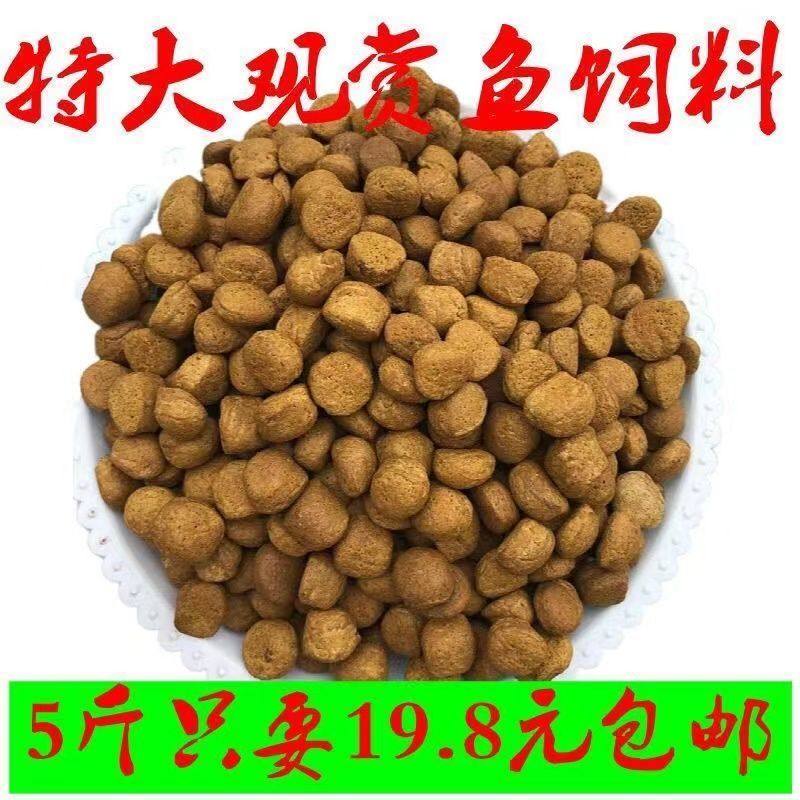 特大观赏鱼草鱼金鱼上浮型鱼饲料