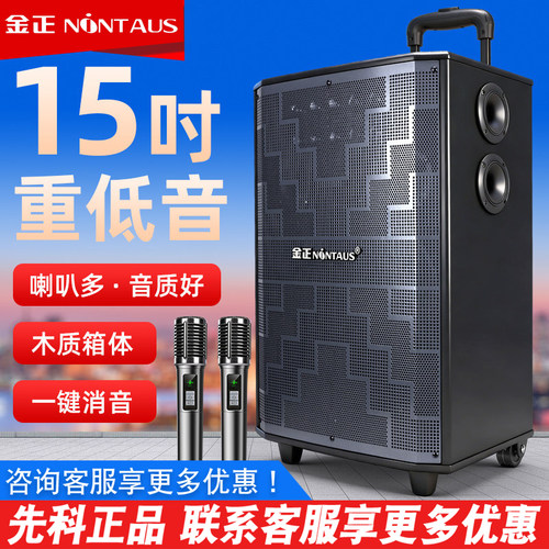 金正15寸广场舞K歌蓝牙音箱