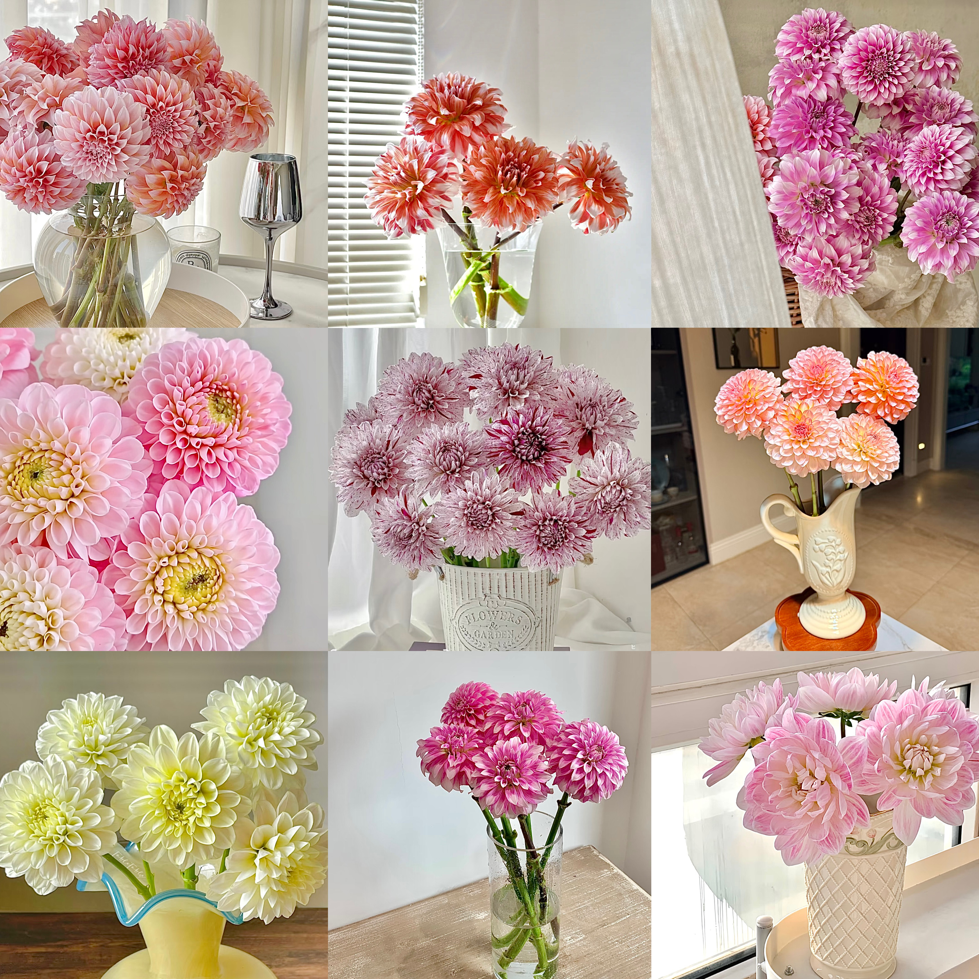 大丽花杏月小众高级感轻奢瓶插花