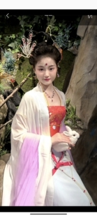 汉服头饰仿珍珠凤簪仿金丝凤手工凤簪红楼梦头饰嫦娥奔月同款