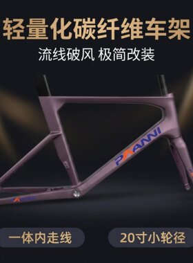 全碳纤维公路车架20寸