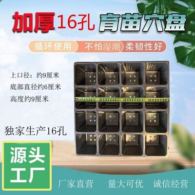 花卉正方形16孔孔加厚扦插种植盆
