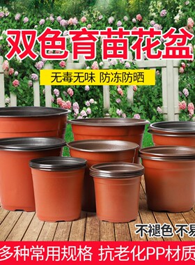 双色育苗花盆营养钵塑料种植一次性扦插加厚大号培养草莓多肉花卉