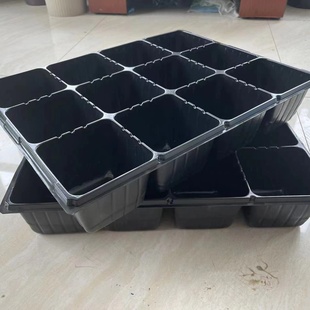 12孔育苗盘穴盘草莓苗木花卉园艺扦插容器林木育苗盆