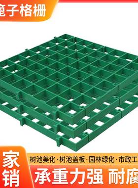 树篦子树池塑料格栅护树板树坑盖板树穴地网树池园林网格市政绿化