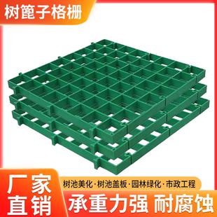 树篦子树池塑料格栅护树板树坑盖板树穴地网树池园林网格市政绿化