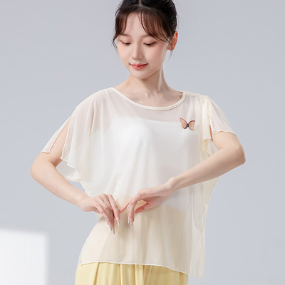 夏季短袖网纱舞蹈服现代古典舞身韵宽松纱衣演出服飘逸学生练功服