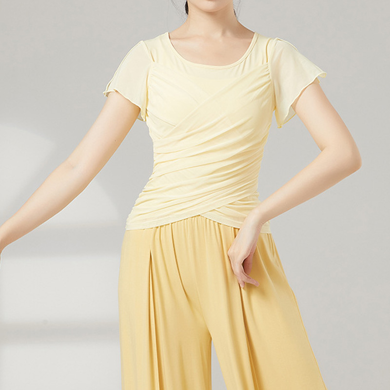 夏季现代舞飘逸纱衣中国古典舞练功服短袖上衣学生网纱舞蹈形体服