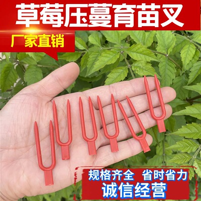 草莓压苗叉草莓育苗大棚压苗叉藤蔓草莓固定器草莓塑料叉子压蔓器