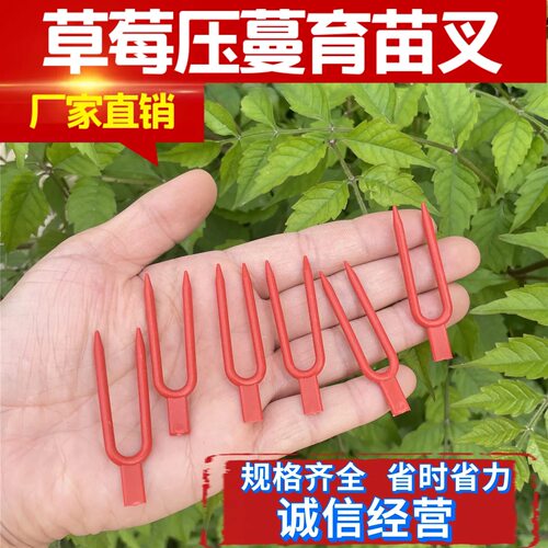 草莓压苗叉草莓育苗大棚压苗叉藤蔓草莓固定器草莓塑料叉子压蔓器