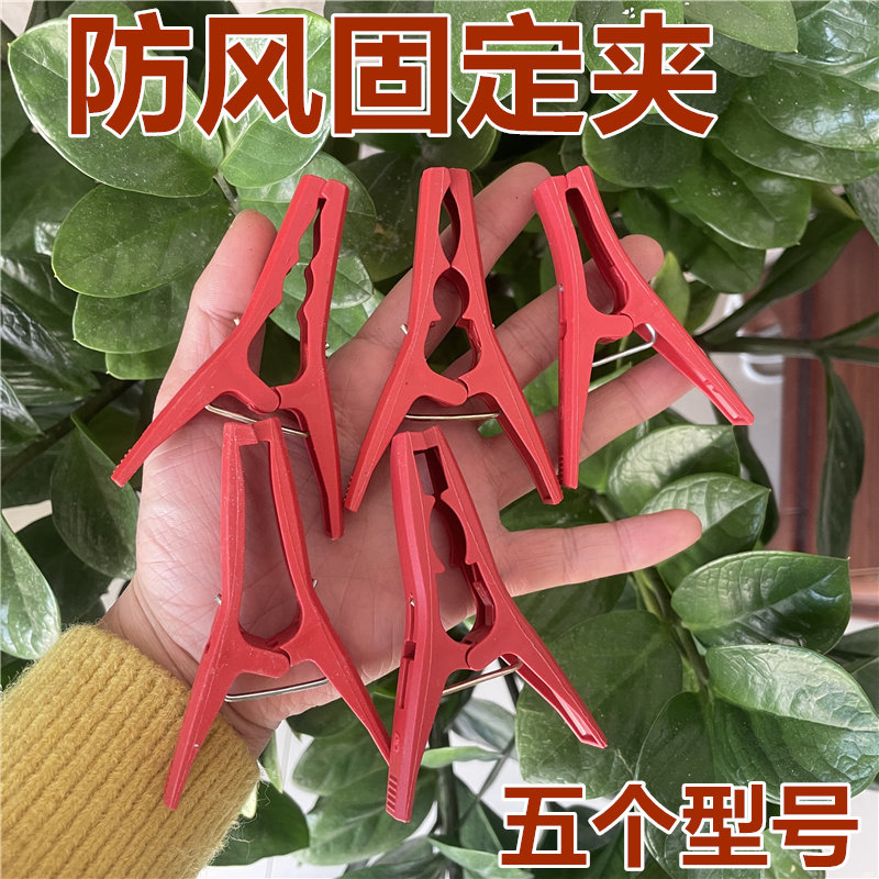冬瓜夹子大号带齿罗汉果夹苦瓜夹丝瓜黄瓜绑枝扶蔓夹上架固定夹子