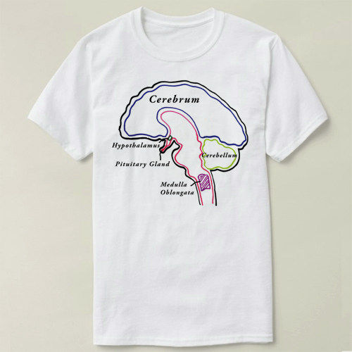 Biology 生物 BRAIN   定制男女Tee T-Shirt T恤