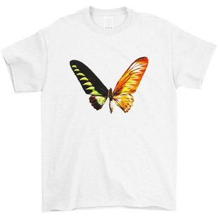 Playboi Carti Die Lit T Shirt Tour T恤