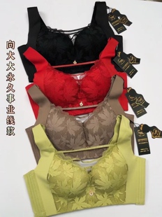 华博向大大永久事业线款·聚拢调整型内衣