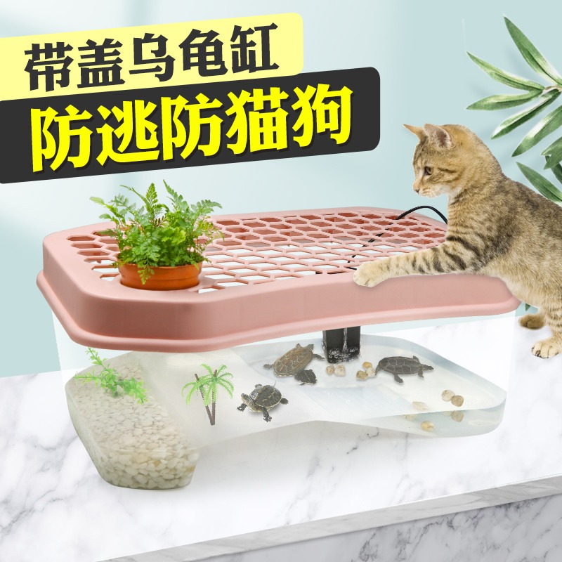 带盖家用塑料乌龟缸带排水口图片