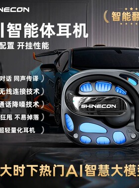 Bluetooh Earphones AI Translator Earbuds Sports Headphones