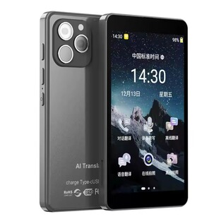 Voice Translator WIFI Online Offline AI ChatGPT Translator