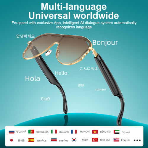 AI translator Glasses Polarized translator Sunglasses