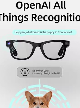800w Pixel Smart Glasses  Ai Camera Photography Translation