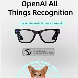 800w Pixel Smart Glasses  Ai Camera Photography Translation