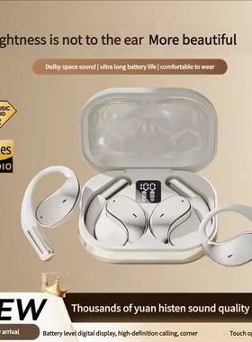 Bluetooth Earphones Earhook Wireless Headse Noise Cancel